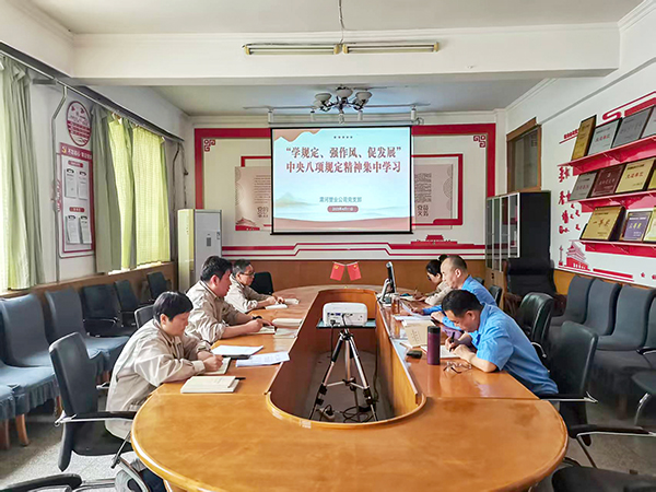4月11日，渭河塑業(yè)公司全體黨員集中學(xué)習(xí)中央八項規(guī)定精神.jpg