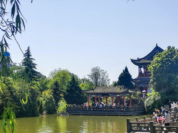 東湖內(nèi)湖之遠(yuǎn)觀凌虛臺，5月2日拍.jpg